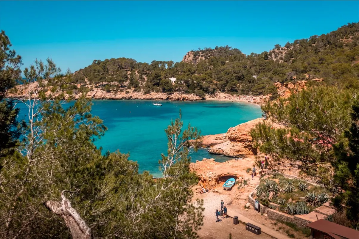 vista-angulo-alto-laguna-azul-rodeada-arboles-ibiza-1